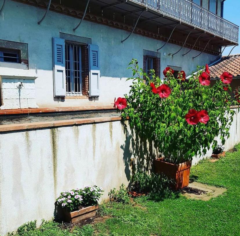 Bed and Breakfast Chez Louise Albi Exterior foto